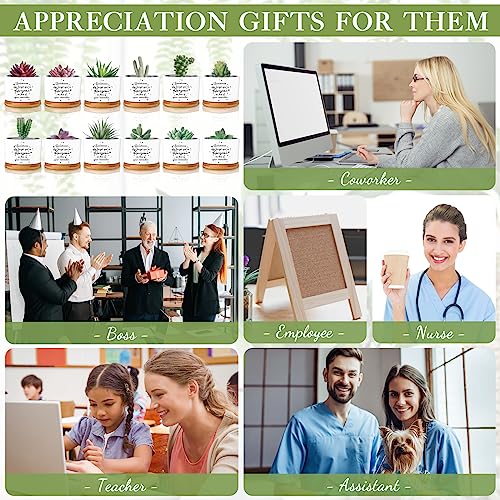 Seewey 12 Pcs Inspirational Succulent Pots Thank You Gift Bulk for Women Employee Teacher Coworker Sometimes You Forget You're Awesome Small Ceramic Plant with Bamboo Trays for Office Staff Graduation - Image 3