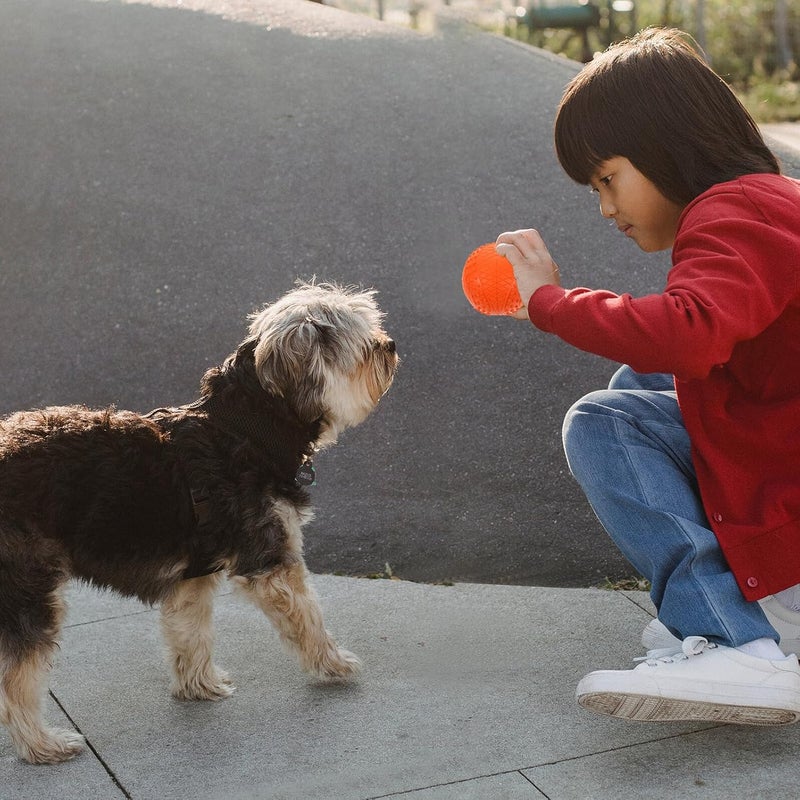 GALPADA 4pcs Rubber Dog Balls Squeaky Chew for Medium and Small Dogs Sturdy Floating Fetch Balls Interactive Play Pet Supplies - Image 5