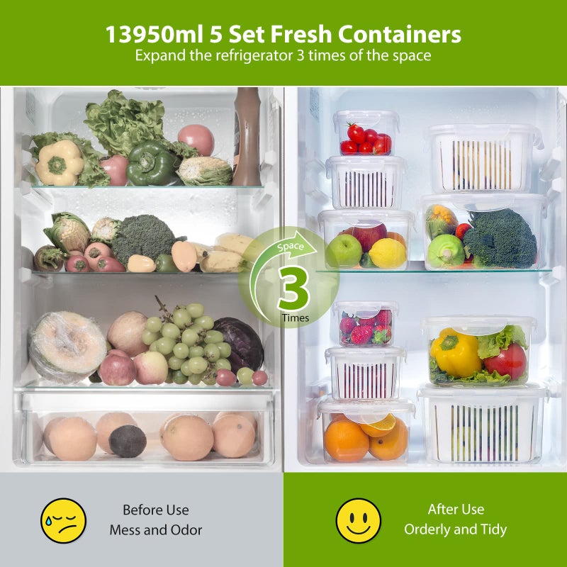 LUXEAR Larger Fruit Vegetable Produce Storage Saver Containers with Lid & Colander 5 Packs BPA-Free Plastic Fresh Keeper Set | Refrigerator Fridge Organizer | for Salad Berry Lettuce Food Celery - Image 3