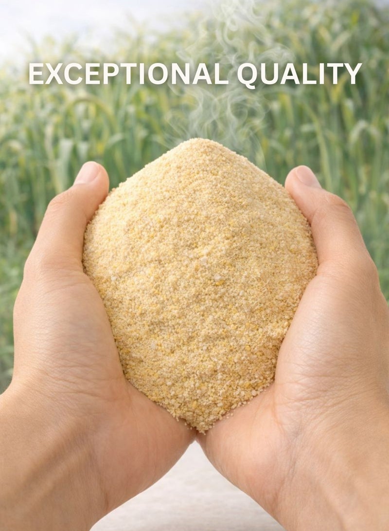 زهر مسحوق الثوم (ثوم مطحون) - مسحوق جذور الثوم النباتي الفاخر | نقي 100% من نبات الثوم المجفف (Allium Sativum) | مسحوق طبيعي نباتي للاستخدام في البستنة والزراعة واستخدامات الأعشاب. - Image 3