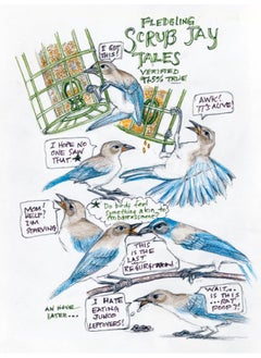 Knopf The Backyard Bird Chronicles  - Image 2