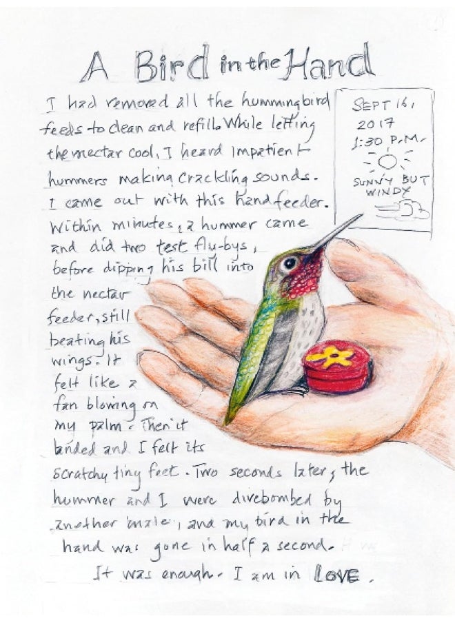 null - Knopf The Backyard Bird Chronicles - Image 1
