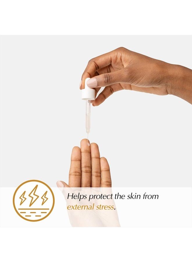 THE POTIONS Q10 Ampoule for Face l Antioxidant and Collagen Support l Korean Skincare, Cruelty-free, Hypoallergenic - 20ml - Image 4