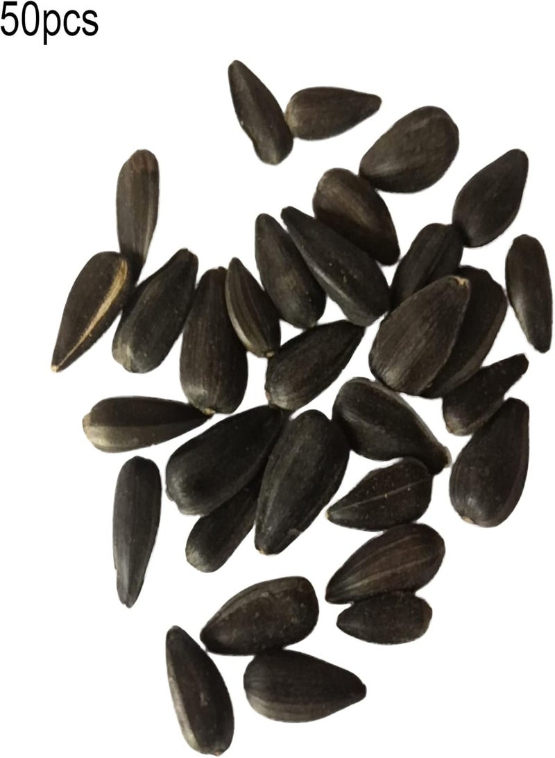 GGOOT 50Pcs/Bag Sunflower seeds High Germination Fresh Gardening Fruit Sunflower seeds Garden Supplies Pink - Image 5