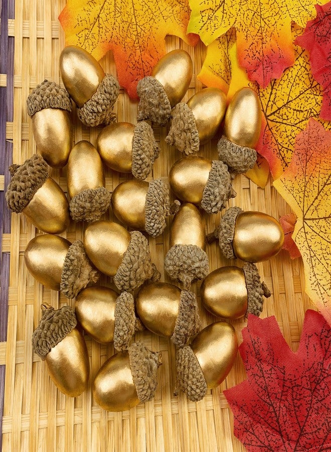 Lorigun 50 Pcs Artificial Acorns Golden Acorns with Natural Acorn Cap Fake Acorn for Decoration Home House Kitchen Decor Christmas Decoration Fall Table Scatter Crafting - Image 5