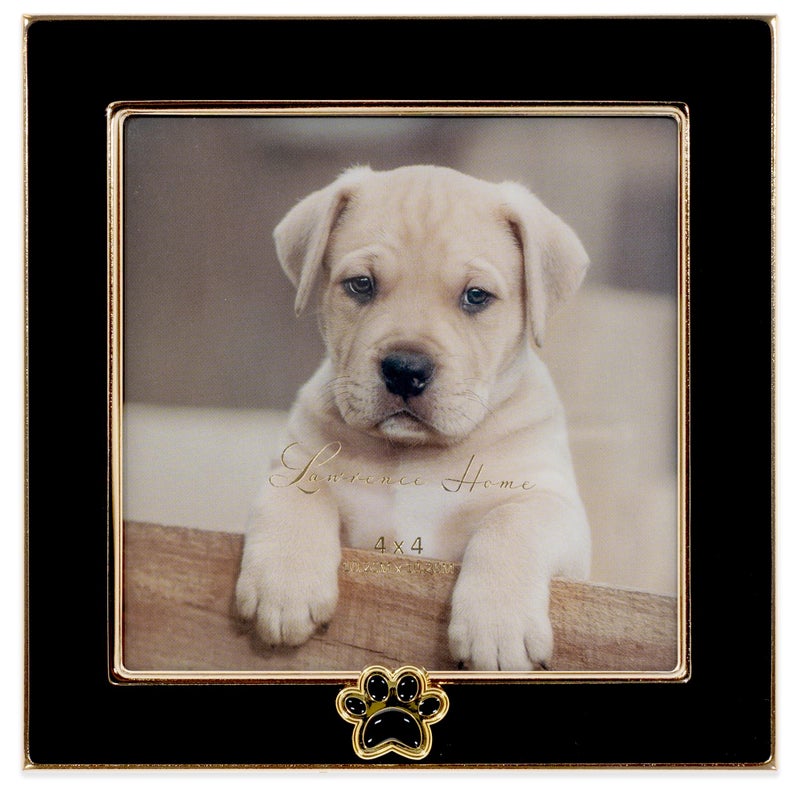 Lawrence Frames 4x4 Black Enamel on Gold Metal Frame - Dog Paw Print - Image 1