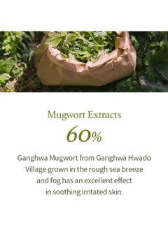I'M FROM I'm from Mugwort Gel Cleanser 150ml, Mugwort 60%, Calming, Soothing, Mild low pH Korean Face Wash for Sensitive Skin, Irritated Skin, Herbal, Hypoallergenic, Vegan  - Image 4