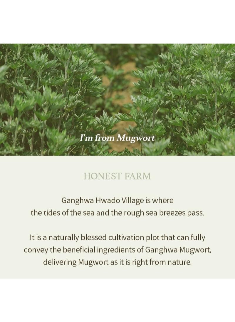 I'm from Mugwort Gel Cleanser 150ml, Mugwort 60%, Calming, Soothing, Mild low pH Korean Face Wash for Sensitive Skin, Irritated Skin, Herbal, Hypoallergenic, Vegan