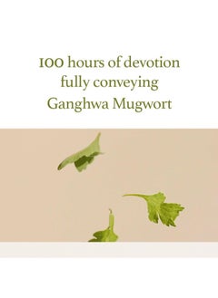 I'M FROM I'm from Mugwort Gel Cleanser 150ml, Mugwort 60%, Calming, Soothing, Mild low pH Korean Face Wash for Sensitive Skin, Irritated Skin, Herbal, Hypoallergenic, Vegan  - Image 3