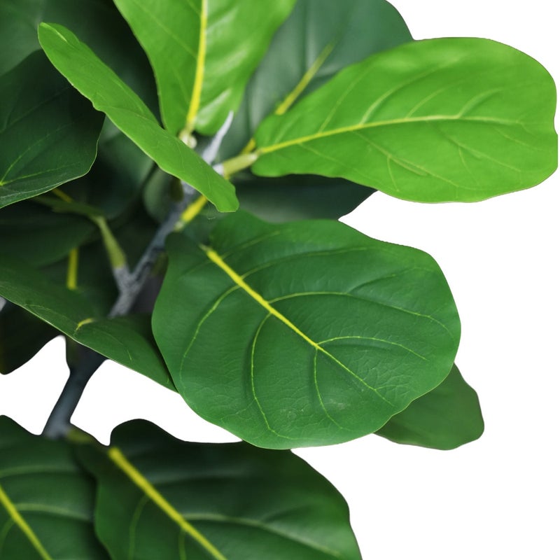 شاربدو النمط الشمالي الاصطناعي الكمان ورقة Fig 110 سم الارتفاع، نبات كبير وعاء، غرفة المعيشة الديكور الداخلي - Image 5