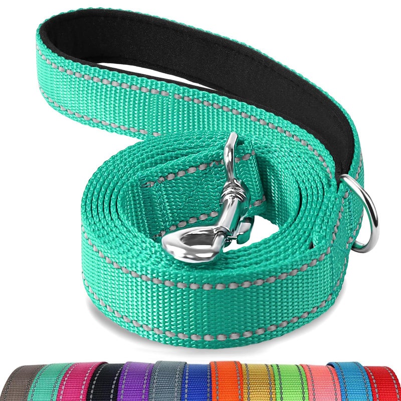 Joytale Double-Sided Reflective Dog Leash, 6 FT/5 FT/4 FT, Padded Handle Nylon Heavy Duty Leashes for Small & Medium Dogs Walking, Teal, 6FT - Image 1