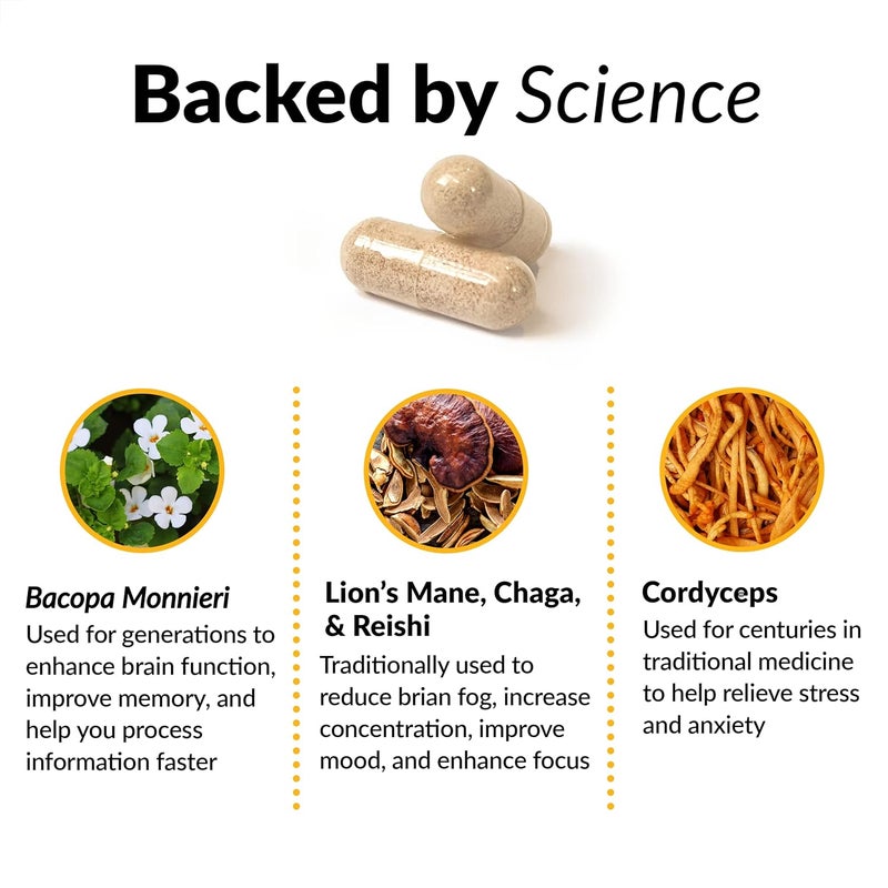 Force Factor Forebrain Focus Brain Booster Brain Supplement to Boost Clarity  Concentration for Memory  Sharpness  Increase Productivity Nootropic Brain Support Supplement 60 Capsules Black - Image 3