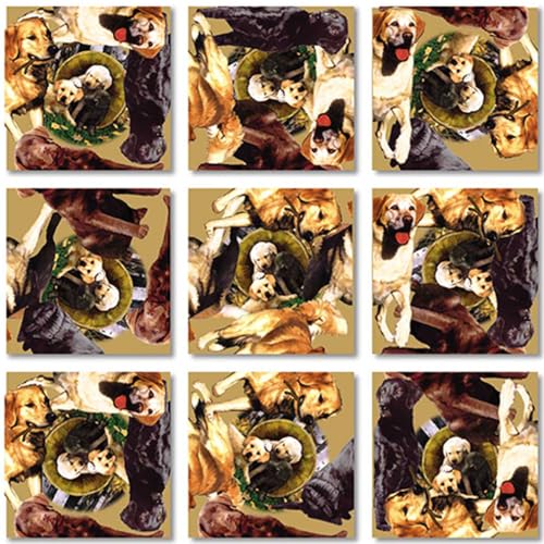 B Dazzle Retrievers Scramble Squares 9 Piece Puzzle - Image 1