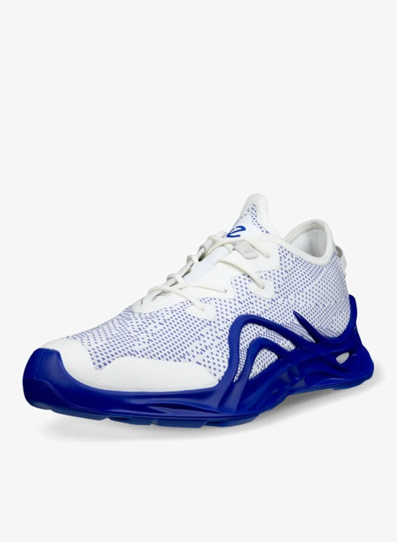 إيكو إيكو بيوم إنفينيت إم فيرتشوال