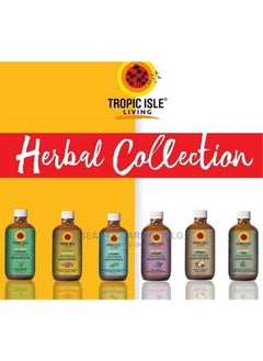 Tropic Isle Living Hair & Skin Conditioner Oil | Jamaican Black Castor Oil for Dry Hair and Skin | 100% Pure and Natural 4 oz (Aloe Vera)  - Image 4