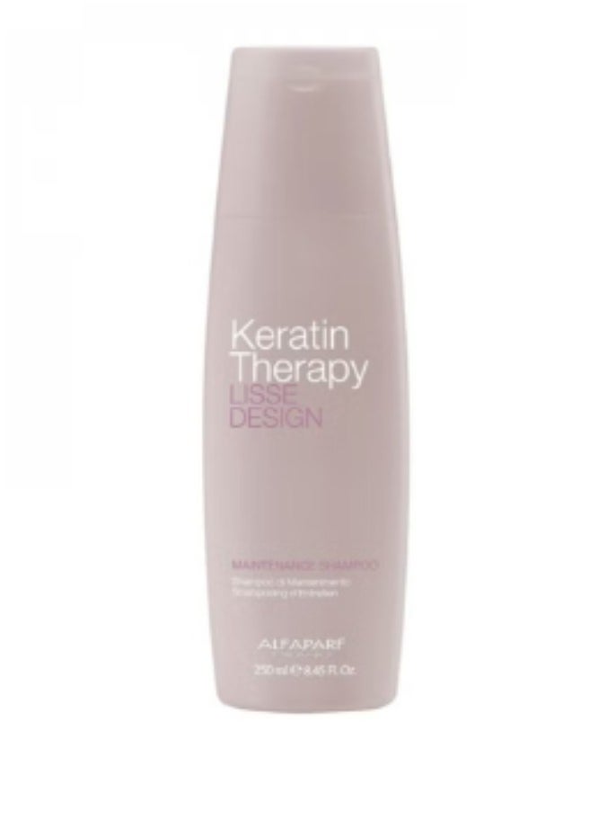ALFAPARF MILANO - Lisse Design Maintenance 1 PC Shampoo 250ML and 1 PC Conditioner 250ML - Image 1