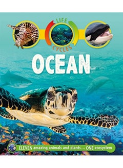Life Cycles Ocean 