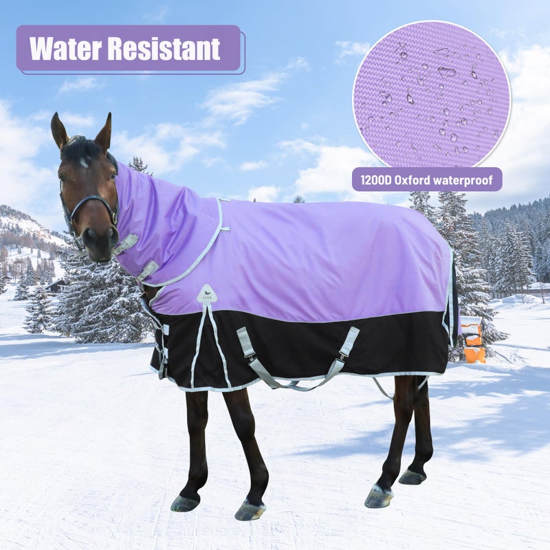 BIGANTTOW بطانية خيل 2025 المحدثة 1200D شتوية، حشوة بوليستر 220 جرام، بطانية خيل متميزة 1200D، بطانية خيل متوسطة الوزن 81 بوصة - Image 4