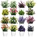 Cindeer 16 Pcs Small Fake Plants Artificial Potted Plants Faux House Plant Mini Pot Plastic Flowers for Indoor Outdoor Home Kitchen Office Desktop Wedding Decor - Image 2