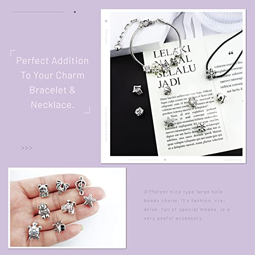 JIALEEY Wholesale Bulk Mix Tibetan Silver Tone Color Spacer Loose Beads Fit European Charm Bracelet Lot for Jewelry Making Findings DIY, 100Gram/38 Pcs - Image 4