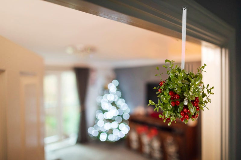 Ornativity Mistletoe Glitter Hanging Ornament - Christmas Mistletoe Kissing Ball with Red Berries Holiday Kiss Xmas Decoration for Doorway Arch Light Fixture 5"" - Image 3