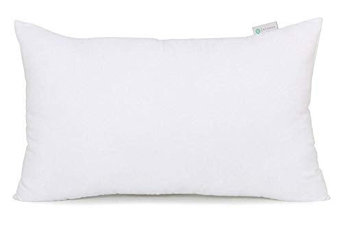 Acanva Acanva Polyester Decorative Rectangle Throw Pillow Inserts Hypoallergenic Form Stuffer Cushion Sham Filler 16x26 White 1 Count Pack of 1 