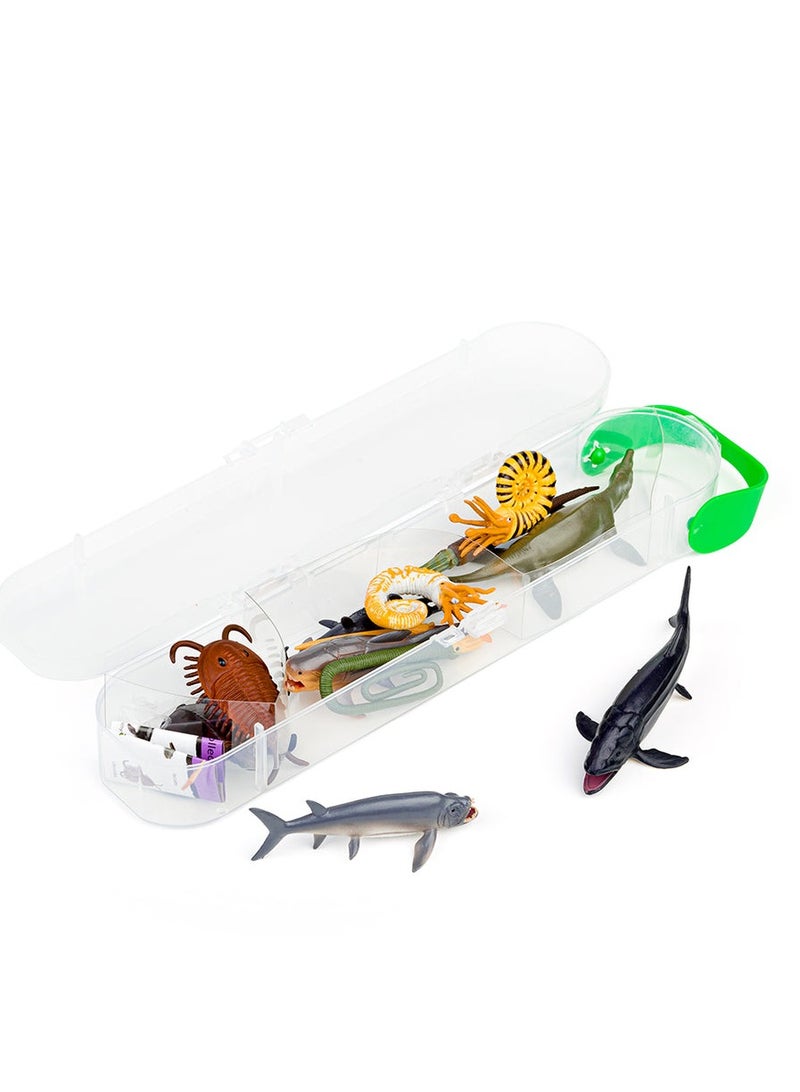 CollectA 12 PREHISTORIC MARINE MODELS TUBE