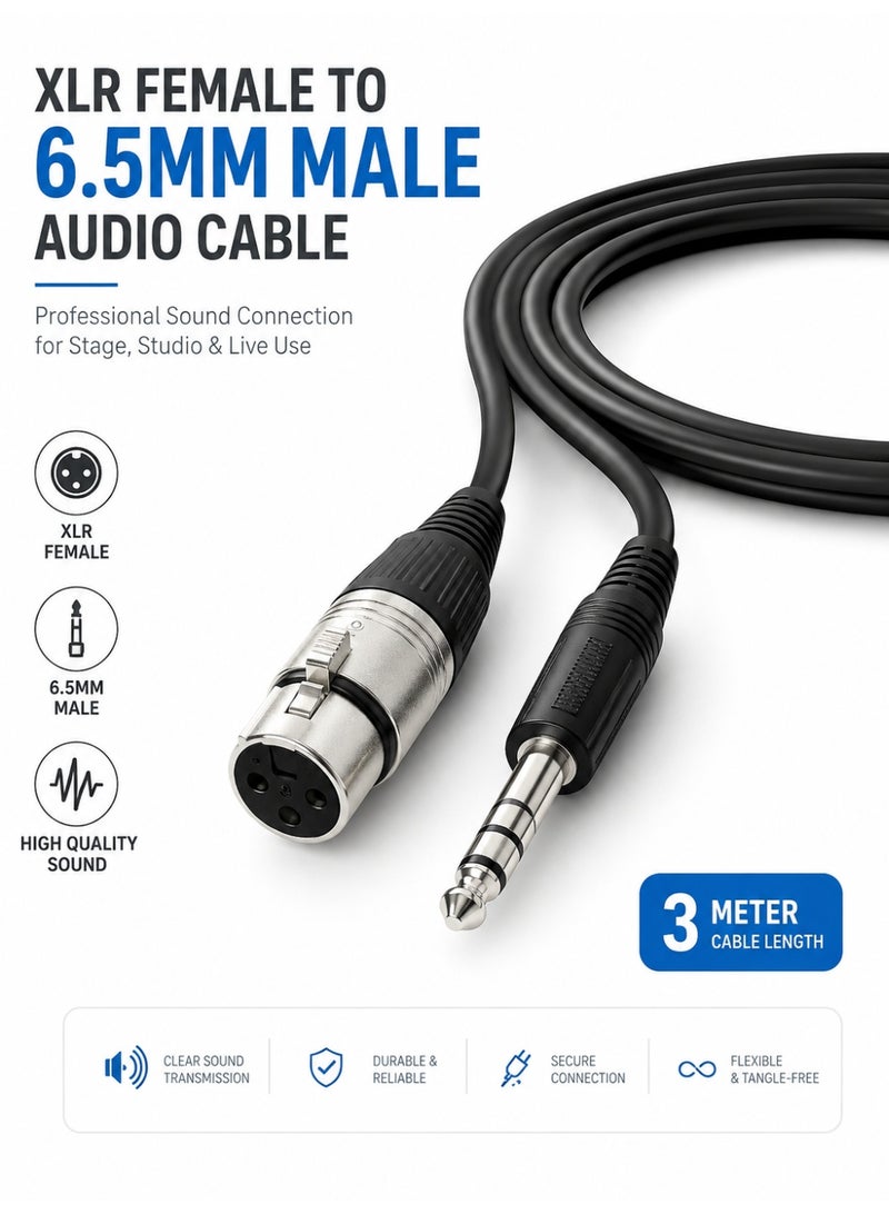 كابل صوتي بطول 3 أمتار من موصل XLR أنثوي إلى موصل 6.5 مم ذكري لتوصيل الميكروفونات والمعدات الصوتية عالية الجودة - Image 1