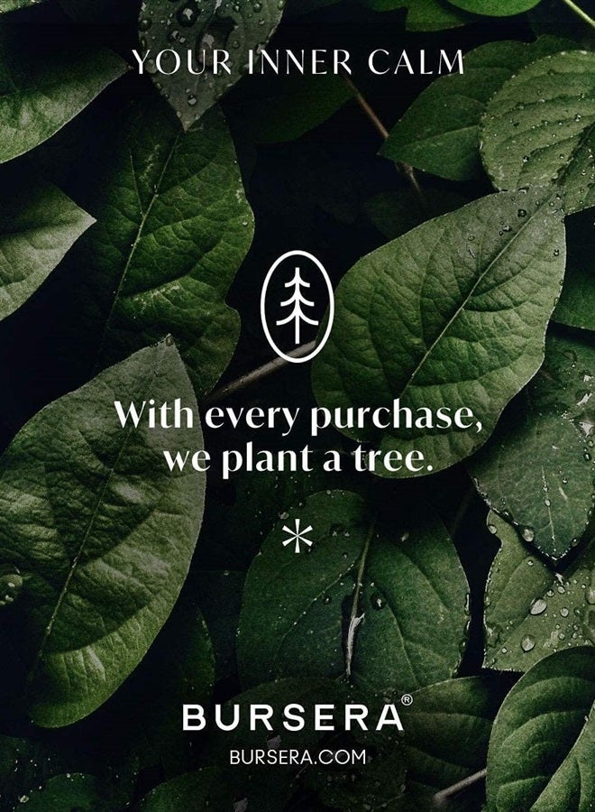 Bursera Organic Palo Santo Essential Oil, Tree Planted with Every Order, 10ml 100% Pure Sustainable Peruvian Palo Santo Oil, Undiluted Organic Oil for Diffuser, Smokeless Smudging Alternative - Image 4