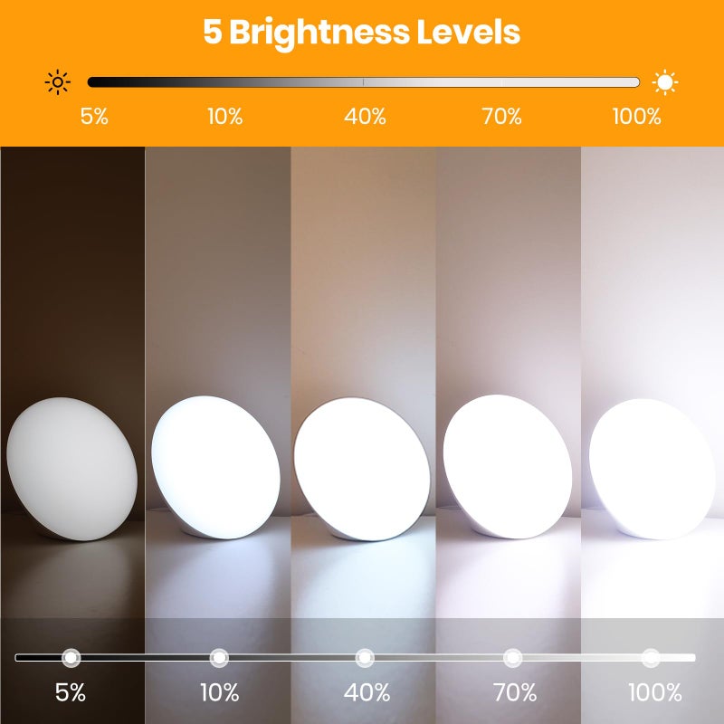 LASTAR Sun Lamp, 10,000 Lux Sunlight Lamp with 4 Color Temperatures & 5 Brightness & 1H Timer, Touch Control Daylight Lamp with Memory Function for Home - Image 3