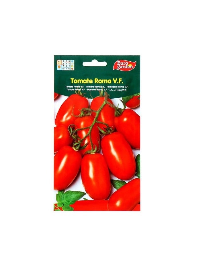 KNP EG Tomato Roma Seeds