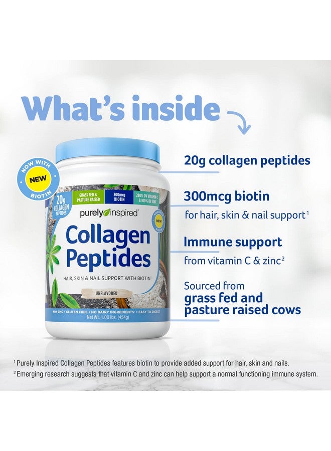 purely inspired Collagen Powder ; Purely Inspired Collagen Peptides Supplements For Women & Men ; Collagen Protein Powder With Biotin ; Paleo + Keto Certified ; Unflavored 1 Lb (Packaging May Vary) - Image 3