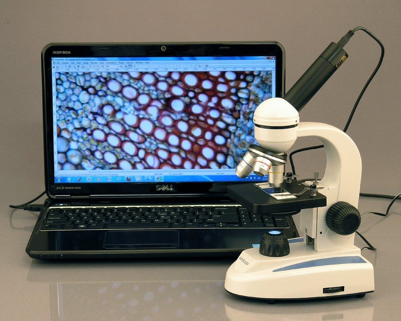 AmScope M149C Compound Monocular Microscope WF10x and WF25x Eyepieces 40x1000x Magnification LED Illumination Brightfield SingleLens Condenser Plain Stage 110V or BatteryPowered HeavyDuty Metal Frame - Image 2