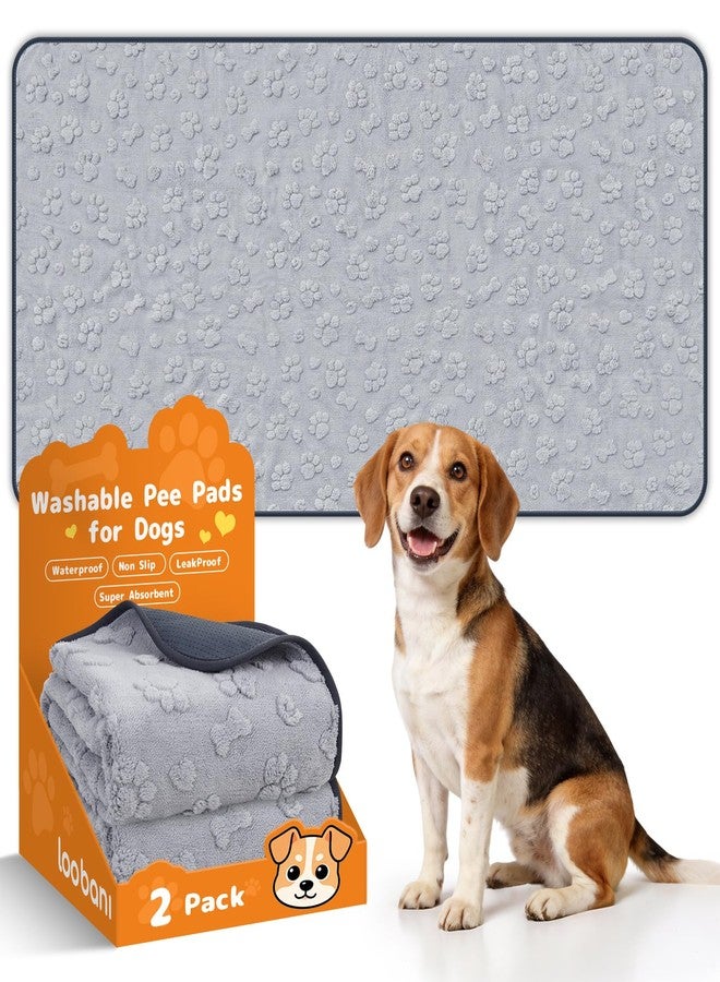 LOOBANI Reusable Pee Pads for Dogs Extra Large,36"x72" Non-Slip Washable Dog Mat 2 Pack, Super Absorbent Washable Puppy Pads, Leak-Proof Pee Rug for Hallway Runner, Floor, Bed, Gray - Image 1