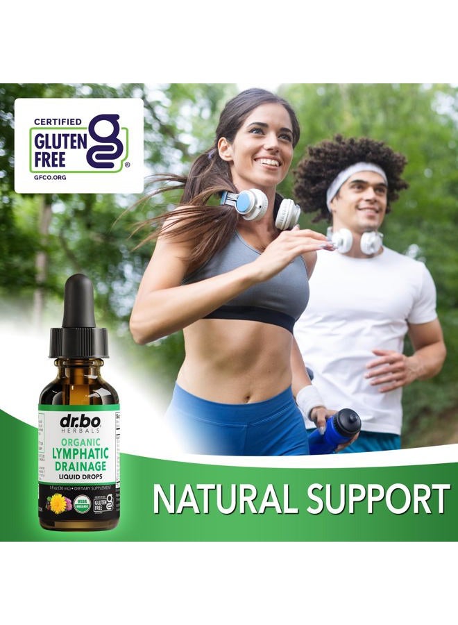 dr.bo قطرات مكملات تصريف اللمف - دعم عضوي سائل لتصريف اللمف مع الإخناسيا، مكمل دعم نظام اللمف، نظام تنظيف تصريف الغدد اللمفاوية - 1 أونصة عضوية غير معدلة وراثيًا - Image 5