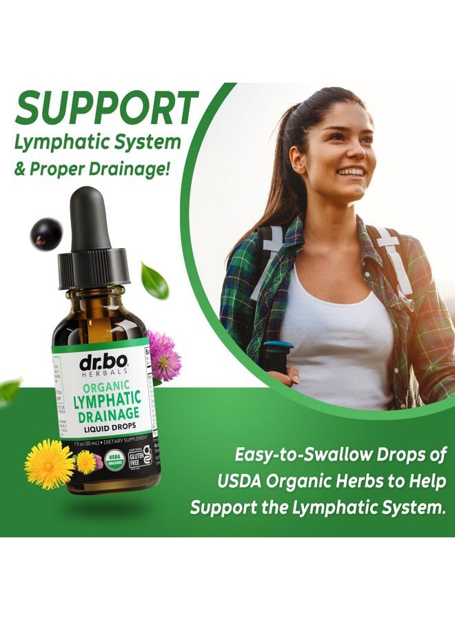 dr.bo قطرات مكملات تصريف اللمف - دعم عضوي سائل لتصريف اللمف مع الإخناسيا، مكمل دعم نظام اللمف، نظام تنظيف تصريف الغدد اللمفاوية - 1 أونصة عضوية غير معدلة وراثيًا - Image 3