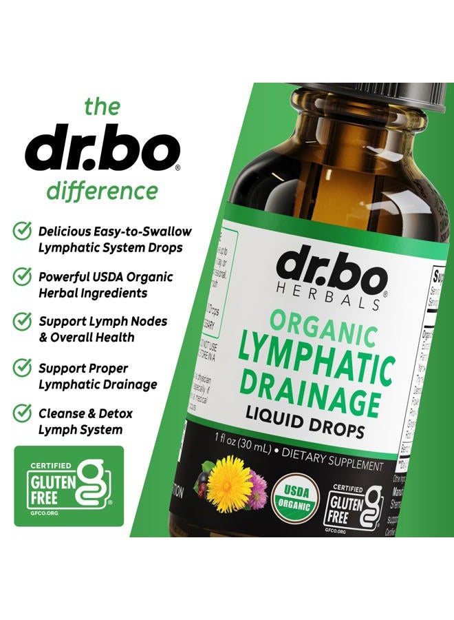 dr.bo قطرات مكملات تصريف اللمف - دعم عضوي سائل لتصريف اللمف مع الإخناسيا، مكمل دعم نظام اللمف، نظام تنظيف تصريف الغدد اللمفاوية - 1 أونصة عضوية غير معدلة وراثيًا - Image 4