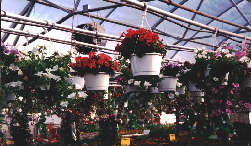 SoilMoist Soil Moist Mats For Hanging Baskets Planters and Containers 6pc Pack - Image 4