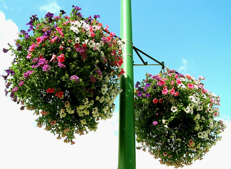 SoilMoist Soil Moist Mats For Hanging Baskets Planters and Containers 6pc Pack - Image 3