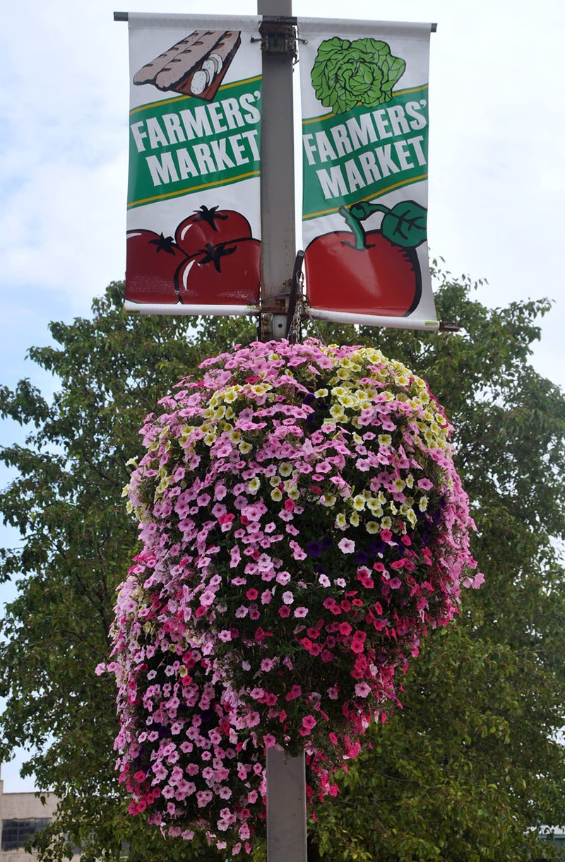 SoilMoist Soil Moist Mats For Hanging Baskets Planters and Containers 6pc Pack - Image 5