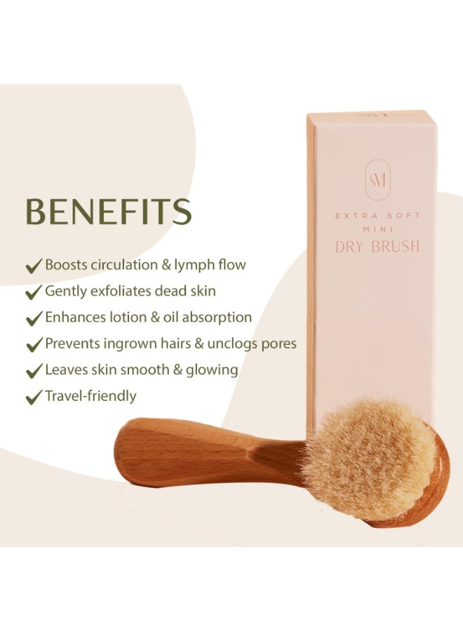 c s m CSM Lymphatic Contour Face Brush Soft Lymphatic Face Brush for Sensitive Skin with Goat Hair Bristles for Facial Lymphatic Drainage - Image 4