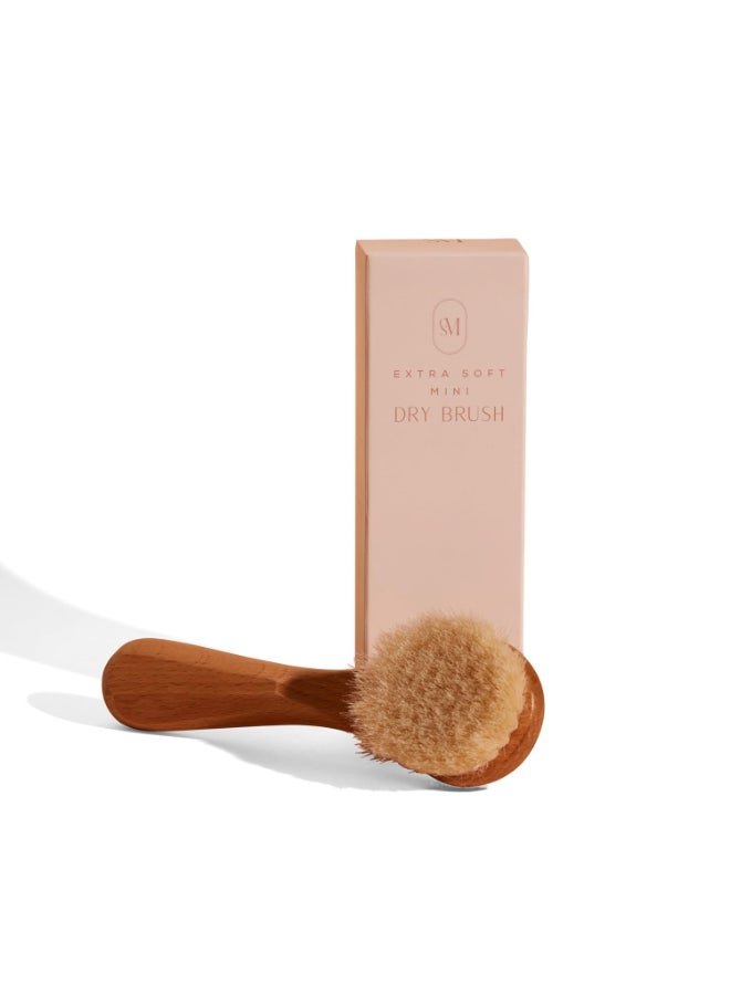 c s m CSM Lymphatic Contour Face Brush Soft Lymphatic Face Brush for Sensitive Skin with Goat Hair Bristles for Facial Lymphatic Drainage - Image 2