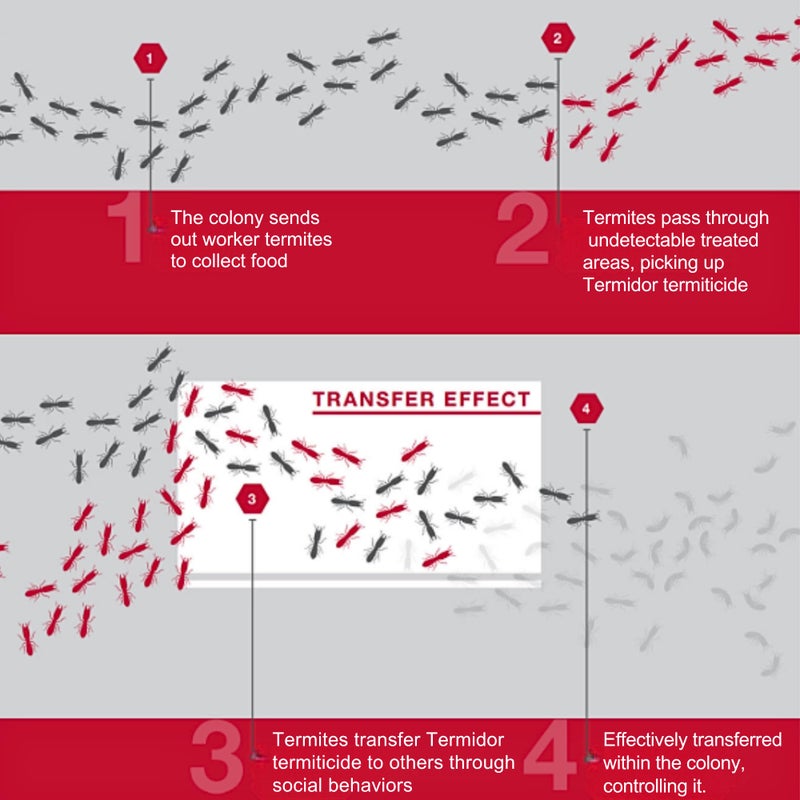 BASF Termidor Foam 20 oz - Termiticide Insecticide for Termites, Ants & Wood Destroying Pests & Insects - Image 3