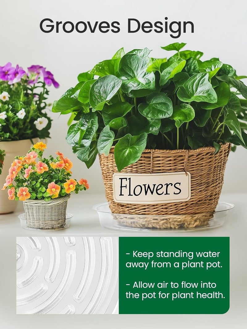 GROWNEER 15 Pack of 6, 8, 10 Inches Clear Plant Saucers Flower Pot Trays, with 15 Pcs Plant Labels, Plastic Plant Drip Trays for Indoor Outdoor Plants Garden, 5pcs of Each Size - Image 5