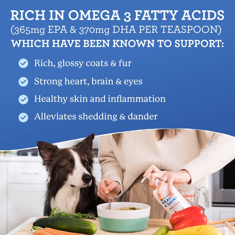 Dr. Harvey's Dr. Harvey’s Health & Shine Omega 3 Fish Oil for Dogs from Wild Caught Cod, Mackerel, Herring, Anchovies and Sardines - Supports Beautiful Fur, Strong Joints and Itchy Allergy Relief (16 fl. oz.) - Image 3