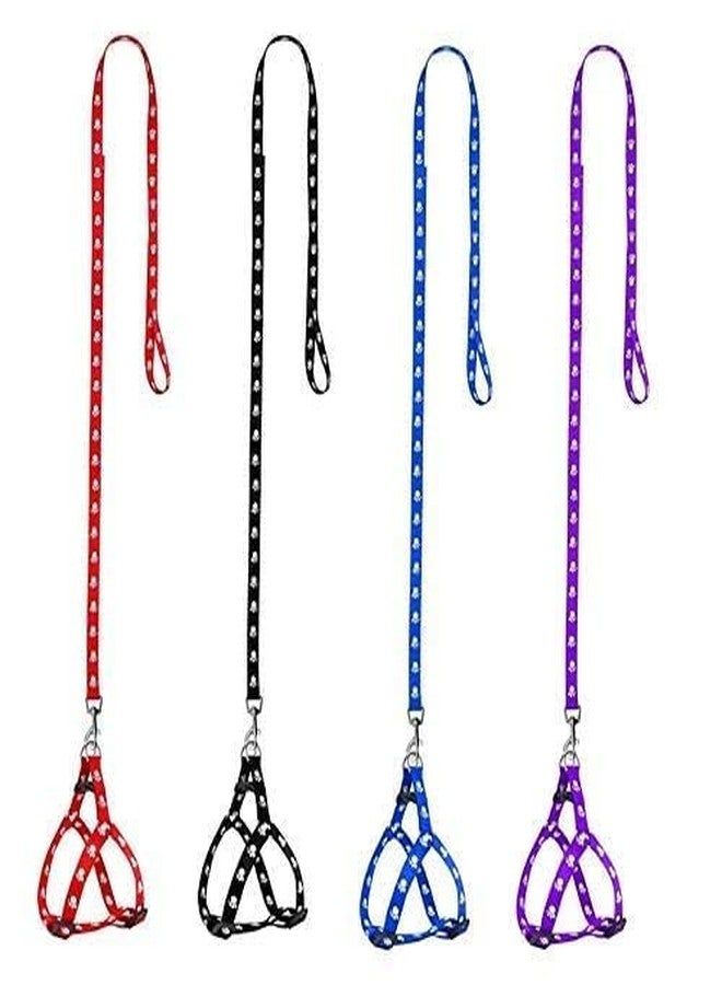 Pups&Pets عرض خاص من Pups&Pets: طقم طوق ومقود قابل للتعديل بنقشة مخالب للجراء، مقاس 15 مم، يتضمن طقم طوق ومقود للكلاب الصغيرة (أسود). - Image 4