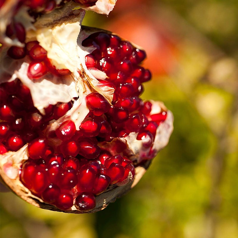 Weleda 24 Hour Roll-On Deodorant, Pomegranate, 1.7 Fluid Ounce - Image 3