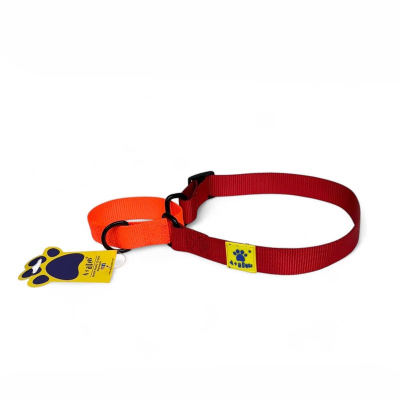 A+a Pets Martingale Dog Collar | No Pull Design, No Neck Strain, No Choke Design | for Large & Medium Dogs | Rust Free, Waterproof Nylon Training Collar (Red & Orange), 20 x 2.5 cm - Image 1