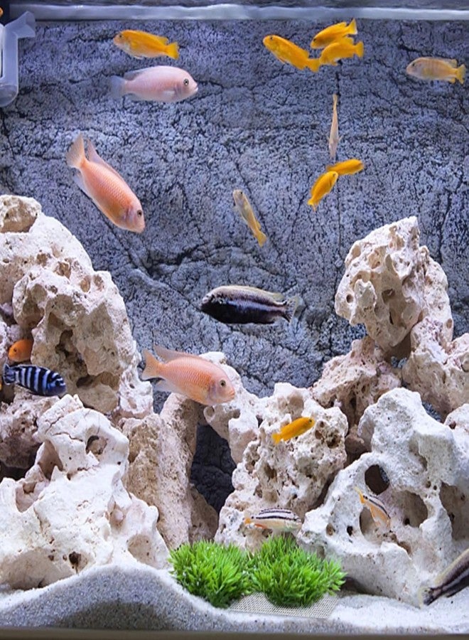 VAYINATO Petzlifeworld Sansibar White Hollow Rock for Aquascaping - Decorative Rocks for Aquarium & Cichlid Tanks | Natural River Rock for Marine & Freshwater Setups | Durable & Porous Stones (3, Kilograms) - Image 1