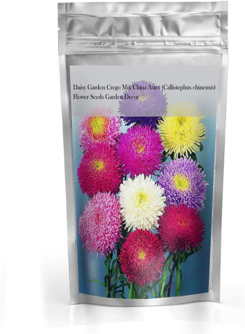 GGOOT Crego Mix China Aster Flower Seeds (Callistephus chinensis) Garden Decor - Image 2